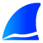 Wireshark